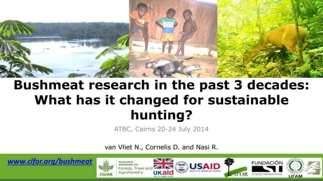 Bushmeat research in the past 3 decades: What has it changed for sustainable hunting? 
