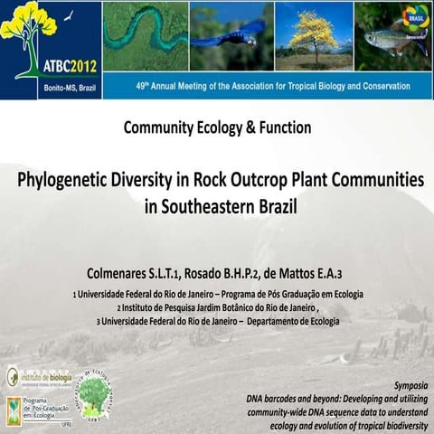 Phylogenetic Diversity in Rock Outcrop Plant Communities in Southeastern Brazil 