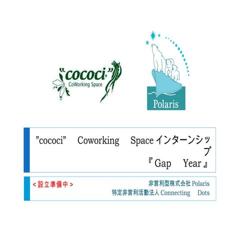 インターンAt cococi