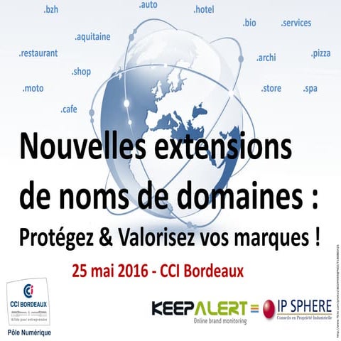 Atelier Nouvelles extensions de noms de domaines : protection et valorisation...