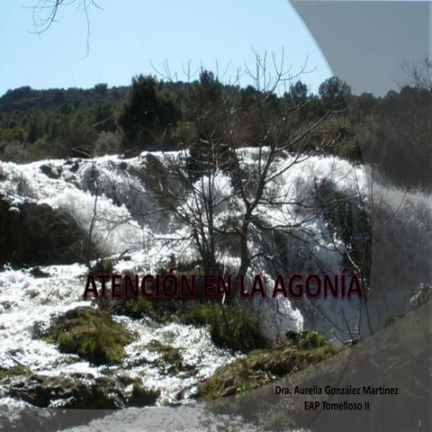 Atención a la agonía