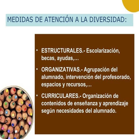 Atención a la diversidad (1)