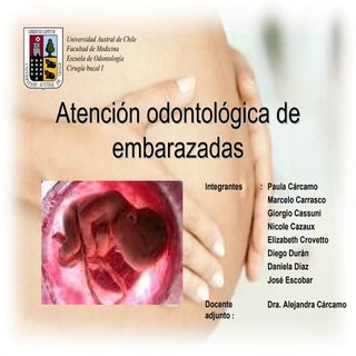 Atención Odontológica De Embarazadas