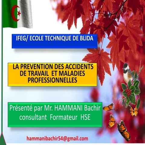 Formation des membres de la CPHS " Accidents de travail et maladie professionnelles"3At et mp  2019 hammani