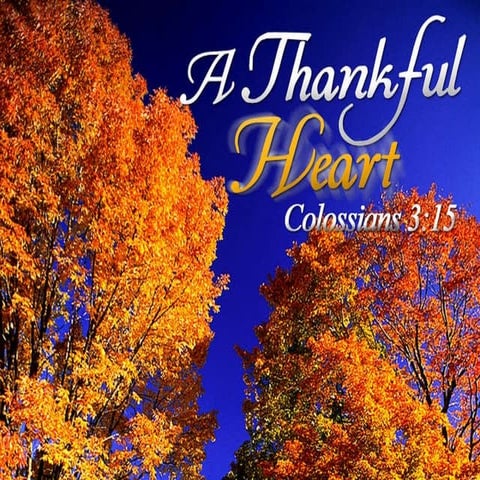 A Thankful Heart