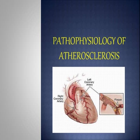 Atherosclerosis pathophysiology 