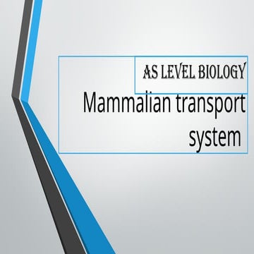 AS Level Biology - Mammalian Transport system .pptx