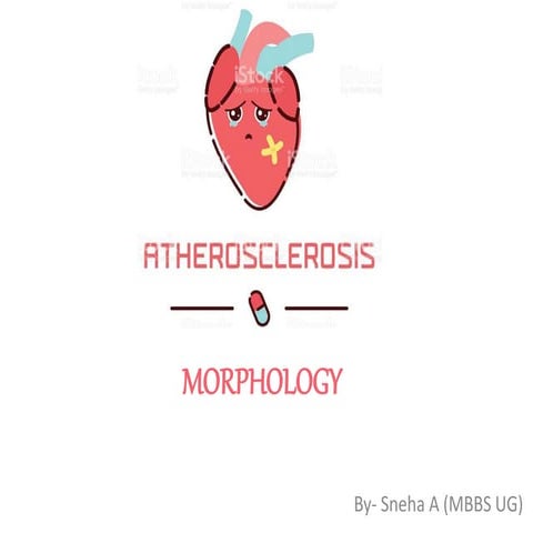 Atherosclerosis  morphology