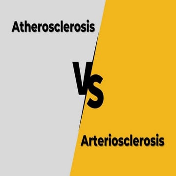 Arteriosclerosis and Atherosclerosis: Causes, Differences, and Nursing Manage...