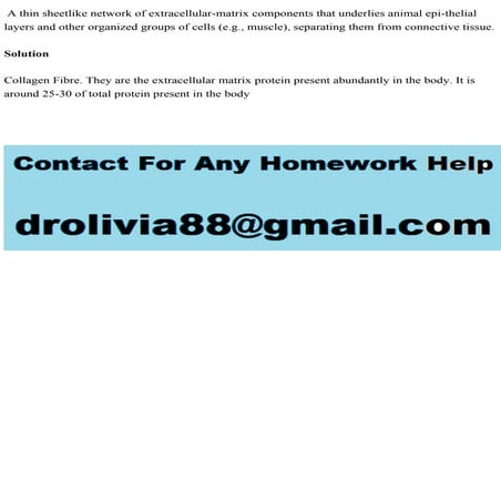 A thin sheetlike network of extracellular-matrix components that unde.pdf