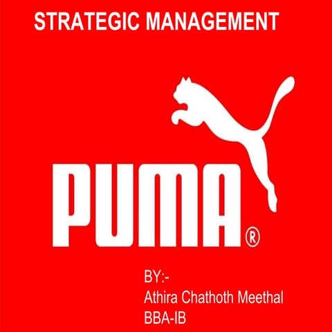 Puma Company Profile and its revenue 