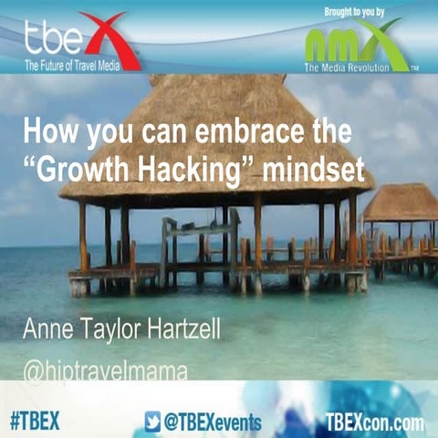 How you can embrace the "Growth Hacking" mindset - Anne Taylor Hartzell 