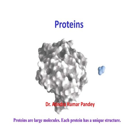 Atindra-protein.pptx