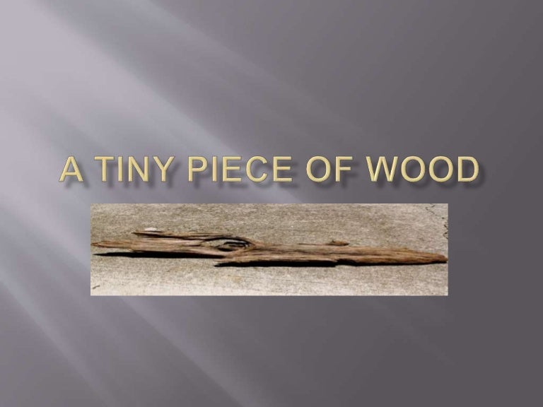 A tiny piece of wood