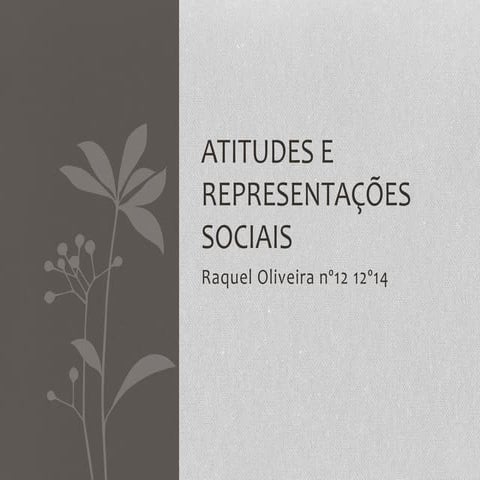 Atitudes e representações sociais 