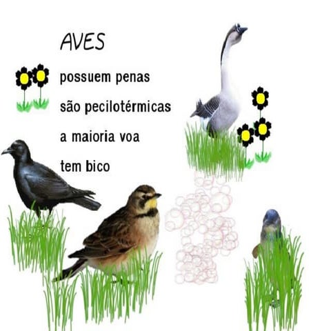 Atividade 6