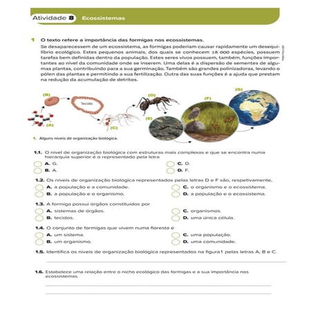Atividade 8 - Ecossistemas.pdf