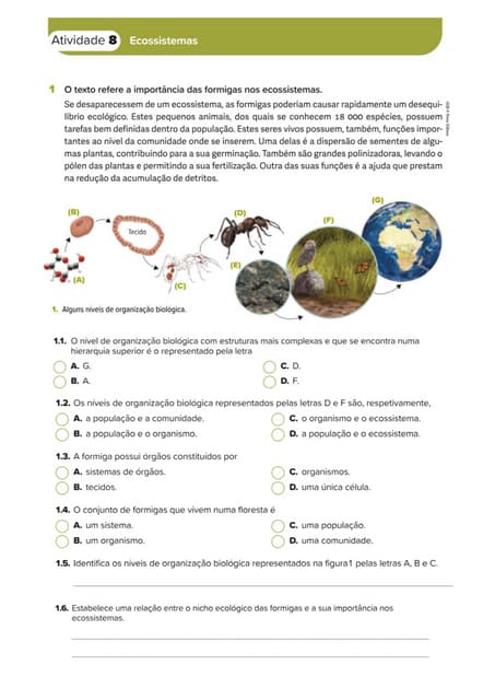 Atividade 8 - Ecossistemas.pdf