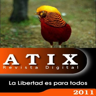 Atix19