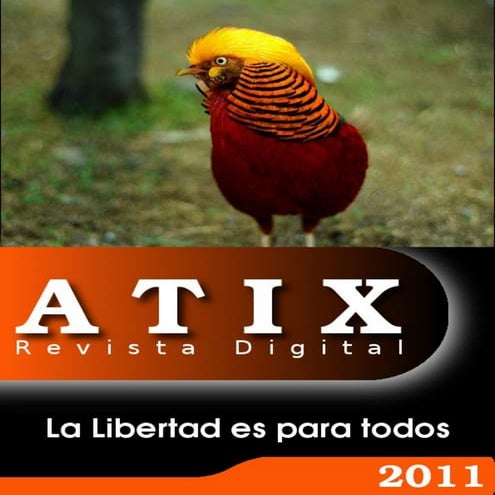 ATIX19
