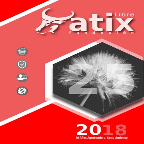 Atix25