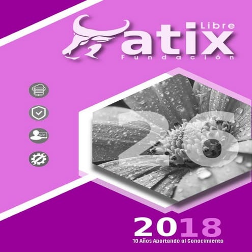 Atix26