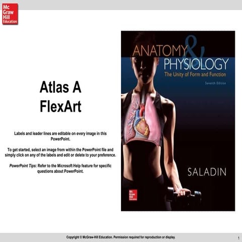 Atlas.ppt