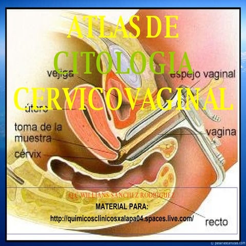 Atlas Citologia Cervicoganal