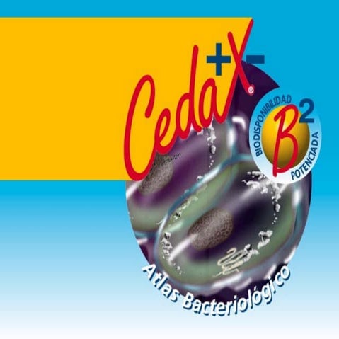 Atlas Bacteriológico