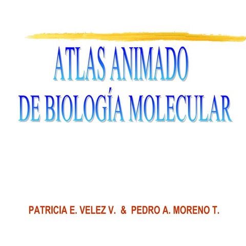 Atlas biología molecular