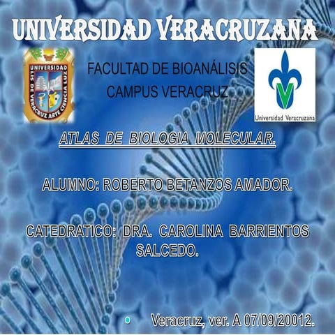 Atlas de biologia molecular