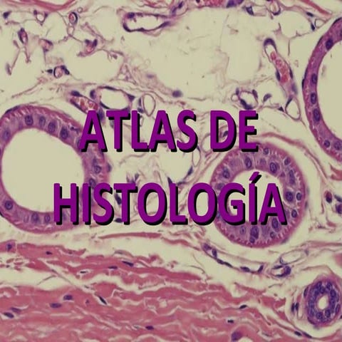 Atlas de histología
