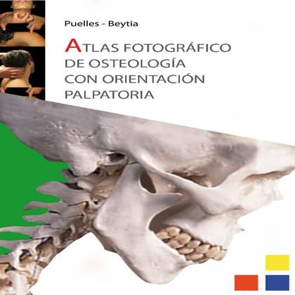 Atlas Fotográfico de Osteología con Orientación Palpatoria | Ortopedia