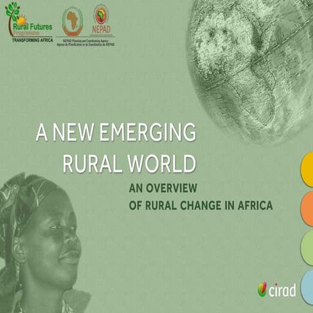 Atlas nepad english version may 2013