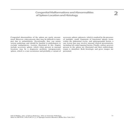 Atlas of spleen pathology