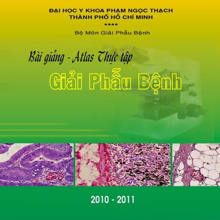 ĐHYPNT | Giải phẫu bệnh | Atlas