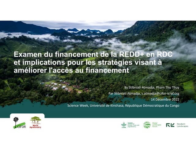 thumbnail of Examen du financement de la REDD+ en RDC et implications pour les stratégies visant à améliorer l'accès au financement
