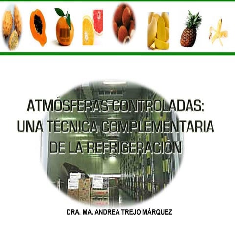 Atmosferas controladas