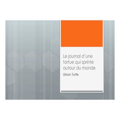 Le journal d'une tortue qui sprinte autour du monde - Vincent Cleroux
