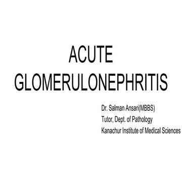 Nephritic syndrome, Acute glomerulonephritis - Pathology - ATOT