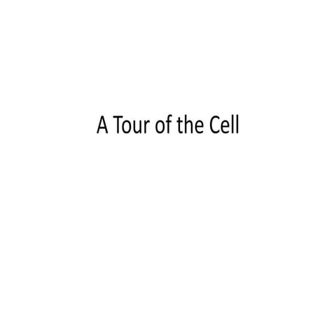 A tour of the cell
