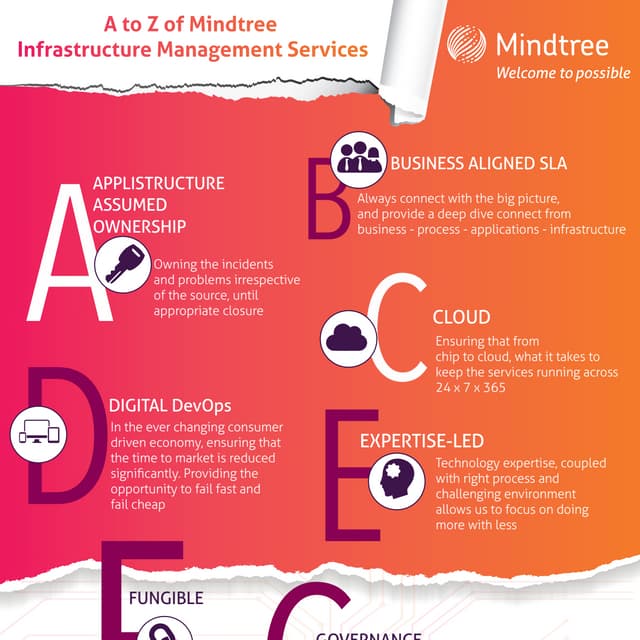 Mindtree IMS Secret Sauce (Fact sheet)