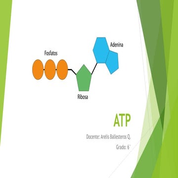ATP.pdf