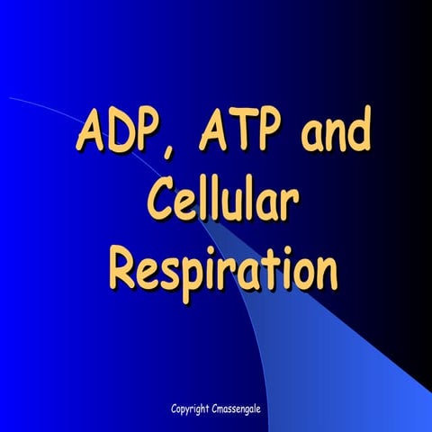 ATP......................?.?............ | PPT