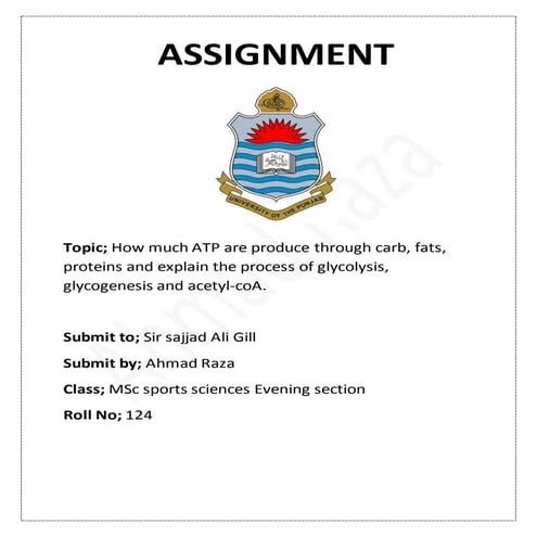 Atp pc energy system