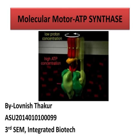 Atp synthase