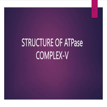 Atp synthase , Atp synthase complex 1 to 4.