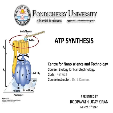 Atp synthesis