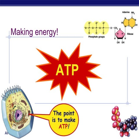 Atp Teach Intro
