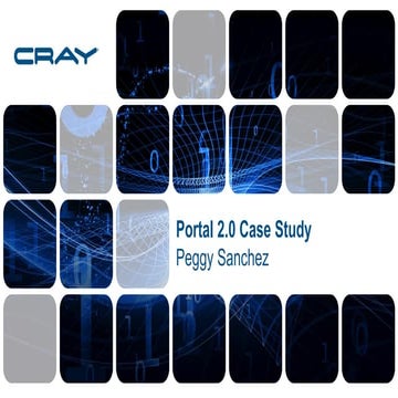 Peggy Sanchez: Portal 2.0 Case Study